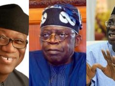 We are aware that Tinubu, Fayemi and Bakare are scheming to be president in 2023 – Afenifere