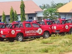 Amotekun: Weaponising ethnicity to destroy good initiative