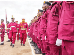 Amotekun Goes Berserk, Kills 11 In 3 Weeks