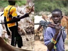 PANDEF to northern elders: You didn’t speak out when herders acted as Nigeria’s landlords