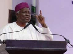 We Have Declared Yoruba Sovereignty — Akintoye, Igboho