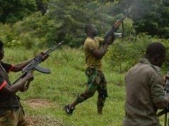 Nigeria Banditry: Bandits open fire on traders in Benue market, kill one, injure 13