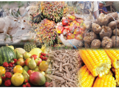 Food inflation rate in Nigeria surges to highest in over 15 years