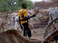 We’ll kill Ortom, other opponents of nomadic cattle grazing in Nigeria: Fulani Nationality Movement