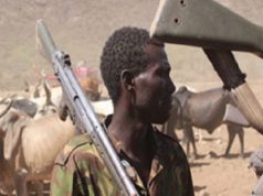 19 killed as suspected Killer herdsmen strike again in Benue