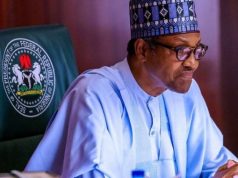 Why I Did Plastic Surgery: BBNaija Nina