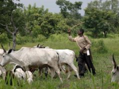 Ortom, Ohanaeze, Falana kick over unknown grazing routes