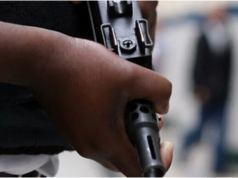 Police inspector, vigilante killed by gunmen in Plateau