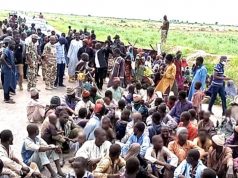 Boko Haram: Reasons insurgents are surrendering in droves emerge