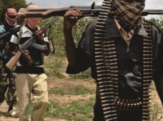 Wall Street Journal says FG paid bandits N20 million to prevent Buhari’s plane from being shot down