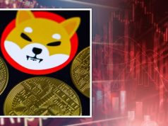 Bitcoin, Shiba Inu plunge while dogecoin, ether gain. Check cryptocurrency prices today