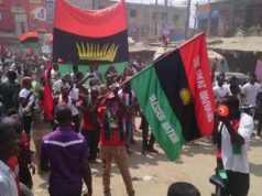 IPOB to FG: We’ll suspend agitation if referendum on Biafra is held