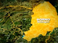 ISWAP kidnaps 15 NGO officials in Borno, takes them to Sambisa forest