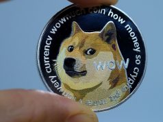Shiba Inu and Dogecoin: Which is the best cryptocurrency to buy in 2022?