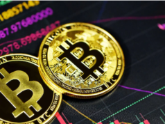 Many put faith in cryptocurrency but crash could lead to regulation and new consumer protections