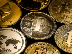 Crypto firms say thousands of digital currencies will collapse, compare market to early dotcom days