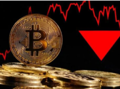 Panic in crypto market as Bitcoin drops below 30K, nearly 80K investors burnt