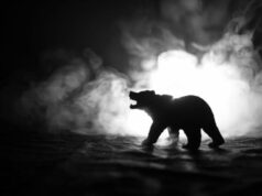Bear market wipes 25 cryptocurrency exchanges in 30 days