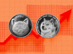 SHIBA INU AND DOGECOIN WILL BE THE NEXT BITCOIN! HERE’S THE PROOF