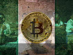 Nigerians Rush to Buy Bitcoin and Stablecoins Amid Economy Collapse (Report)