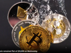 Cryptocurrency Price Today: Bitcoin Flat at $20,000, Ether, Cardano Jump by Up to 2%; See List