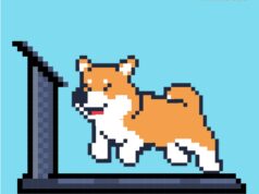 Traders Predict This New Cryptocurrency To 83x By 2024 With Its Use Case