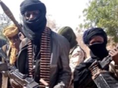 Bandits abduct 39 children in Katsina farm