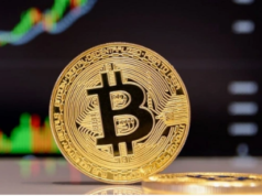Over 69K investors burnt as Bitcoin dips below $16K