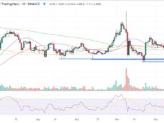 Binance Coin Price Prediction as Investors Fear Binance Exchange is Next to Collapse – Here’s Where BNB is Headed Next