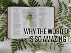 Why The Word Of God Is So Amazing Part 1