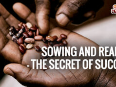 Sowing and Reaping -The secret of Success
