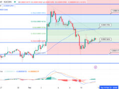 Shiba Inu Price Prediction as $300 Million Trading Volume Floods In – How High Can SHIB Go in 2023?
