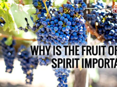 Why is the fruit of the spirit so important?