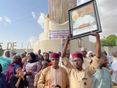 Niger coup succeeds as soldiers dissolve constitution, shut borders