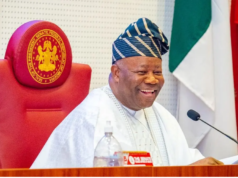 Senate halts screening of 3 ministerial nominees over alleged forgery, age falsification