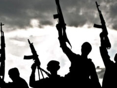 Terrorists kill several travellers along federal highway