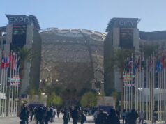 COP28: Amidst austerity, Nigeria’s govt-funded delegates increased 250% in one year