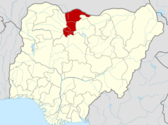 How terrorists stormed Katsina community, abducted over 30 residents