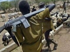 Benue under siege as herdsmen kill over 500 in Agatu, Otukpo, Apa
