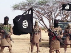 Boko Haram kills policeman, two civilians, burns palace in Yobe