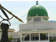 How Nigerian lawmakers padded 2024 budget with over N53 billion vague projects