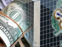 CBN sells fresh dollars to BDCs at N1,021/$