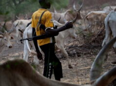 Scores killed as suspected herdsmen invade Kogi community
