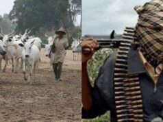 Many feared dead, others injured as herdsmen attack Enugu community