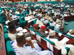 Reps move to end japa in Nigeria’s health sector