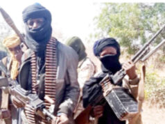 Bandits Kill 17, Abduct 5 In Kaduna, Sokoto Communities