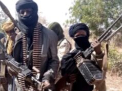 Terrorists sack 50 communities, abduct hundreds of people in Zamfara – Lawmaker